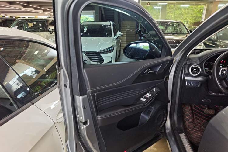 Used Wey VV5 2020 1.5T Two-Wheel Drive Color Pioneer Left Front Door Interior