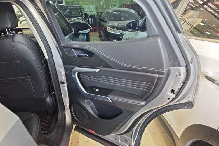 Used Wey VV5 2020 1.5T Two-Wheel Drive Color Pioneer Right Rear Door Interior