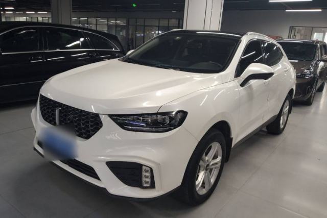 Used Wey VV5 2020 1.5T Two-Wheel Drive Color Pioneer