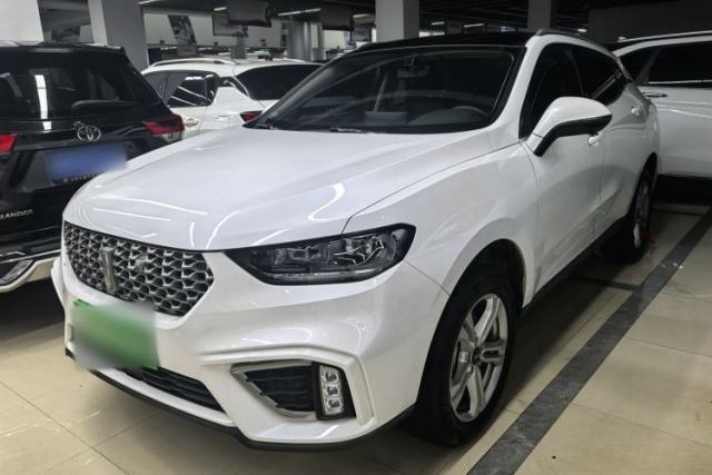 Used Wey VV5 2020 1.5T Two-Wheel Drive Color Pioneer