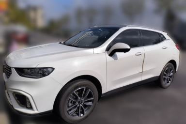 Used Wey VV5 2020 1.5T Two-Wheel Drive Smart Pioneer