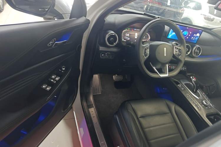 Used Wey VV5 2020 1.5T Two-Wheel Drive Smart Pioneer Driver Seat