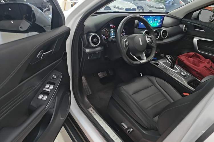 Used Wey VV5 2020 1.5T Two-Wheel Drive Color Pioneer Driver Seat