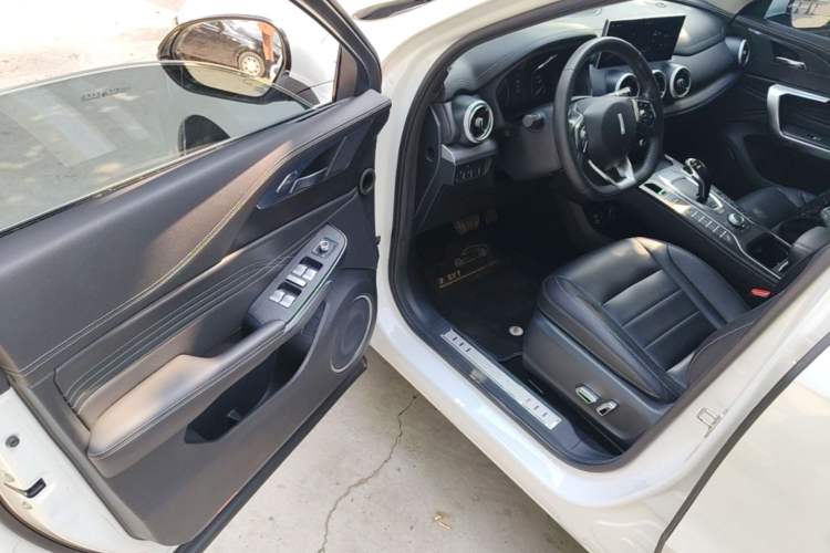 Used Wey VV5 2020 1.5T Two-Wheel Drive Color Pioneer Driver Seat