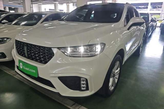 Used Wey VV5 2020 1.5T Two-Wheel Drive Color Pioneer