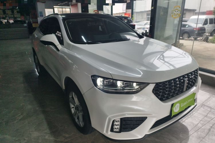 Used Wey VV5 2020 1.5T Two-Wheel Drive Color Pioneer Exterior 1
