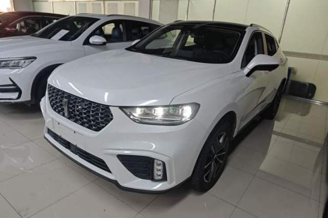 Used Wey VV5 2020 1.5T Two-Wheel Drive Smart Pioneer