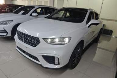 Used Wey VV5 2020 1.5T Two-Wheel Drive Smart Pioneer