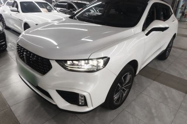 Used Wey VV5 2020 1.5T Two-Wheel Drive Smart Pioneer