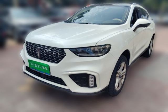 Used Wey VV5 2020 1.5T Two-Wheel Drive Color Pioneer