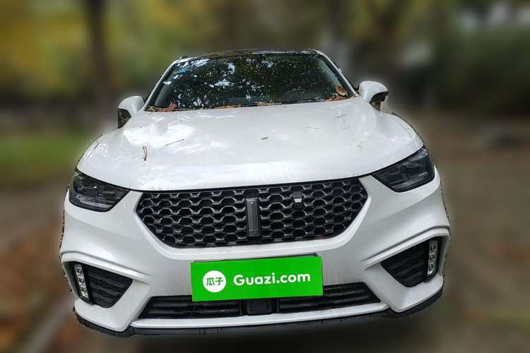 Used Wey VV5 2020 1.5T Two-Wheel Drive Smart Pioneer Front