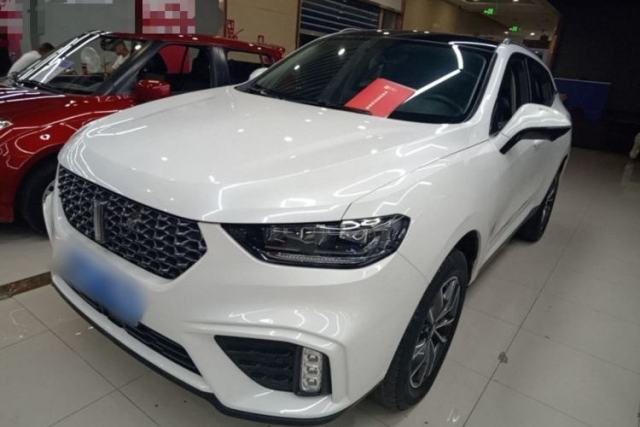 Używany Wey VV5 2020 1.5T Two-Wheel Drive Color Pioneer
