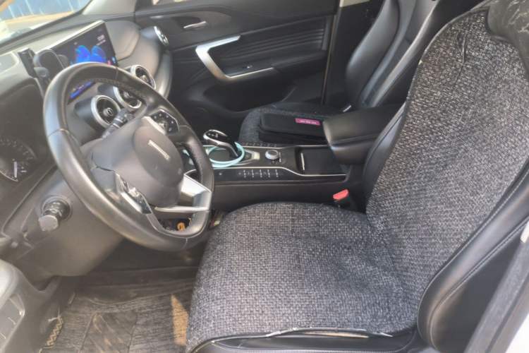 Used Wey VV5 2020 1.5T Two-Wheel Drive Color Pioneer Left Front Seat