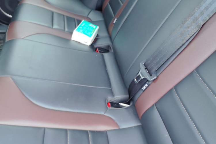 Used Wey VV5 2020 1.5T Two-Wheel Drive Color Pioneer Left Rear Seat