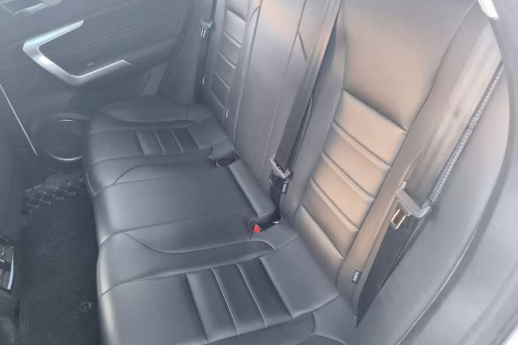 Used Wey VV5 2020 1.5T Two-Wheel Drive Color Pioneer Left Rear Seat
