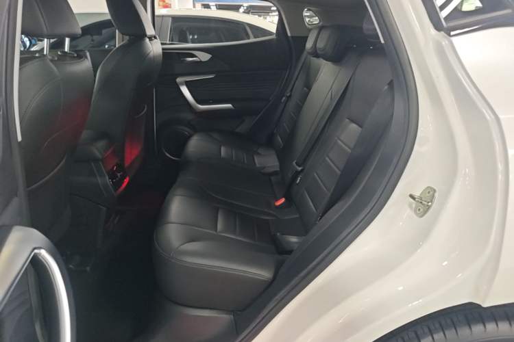 Used Wey VV5 2020 1.5T Two-Wheel Drive Color Pioneer Left Rear Seat