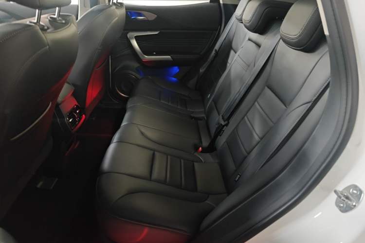 Used Wey VV5 2020 1.5T Two-Wheel Drive Smart Pioneer Left Rear Seat