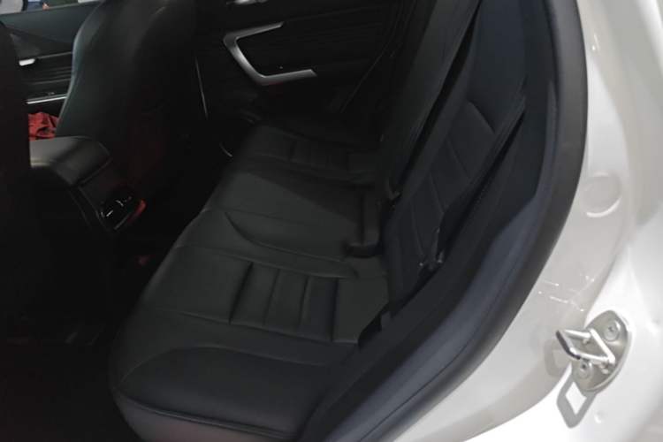 Used Wey VV5 2020 1.5T Two-Wheel Drive Color Pioneer Left Rear Seat