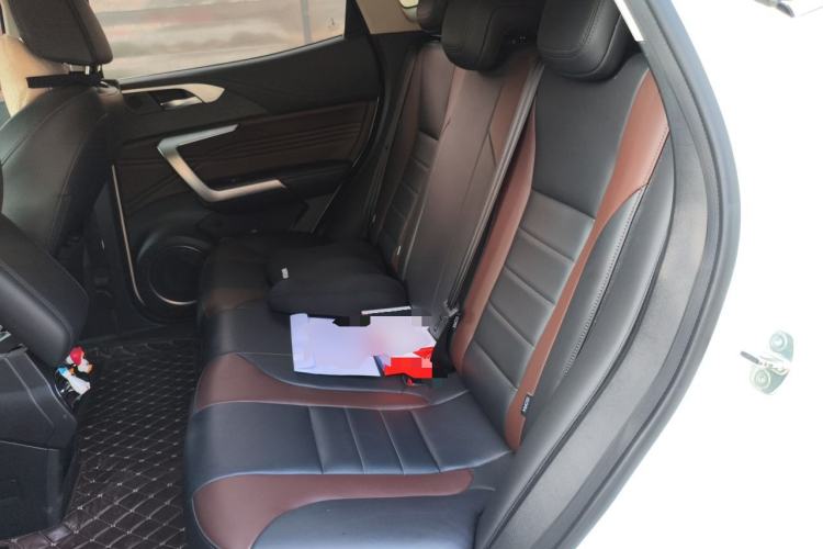 Used Wey VV5 2020 1.5T Two-Wheel Drive Color Pioneer Left Rear Seat