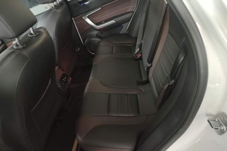 Used Wey VV5 2020 1.5T Two-Wheel Drive Color Pioneer Left Rear Seat