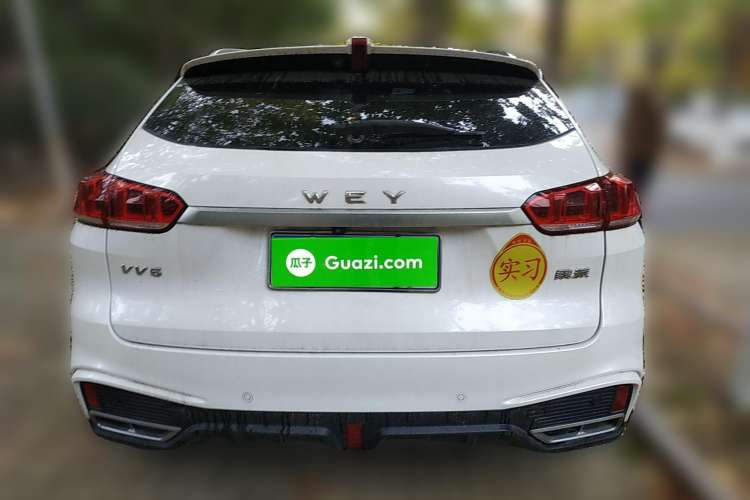 Used Wey VV5 2020 1.5T Two-Wheel Drive Smart Pioneer Rear