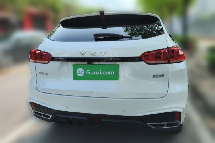 Used Wey VV5 2020 1.5T Two-Wheel Drive Color Pioneer Rear