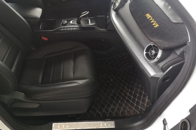 Used Wey VV5 2020 1.5T Two-Wheel Drive Color Pioneer Right Front Seat