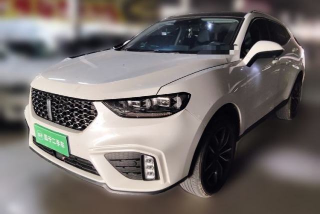 Used Wey VV5 2020 1.5T Two-Wheel Drive Smart Pioneer