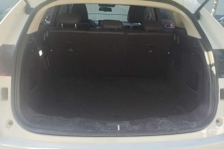 Used Wey VV5 2020 2.0T Two-Wheel Drive Pioneer Trunk