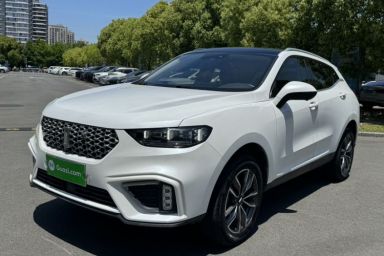 Used Wey VV5 2020 1.5T Two-Wheel Drive Smart Pioneer