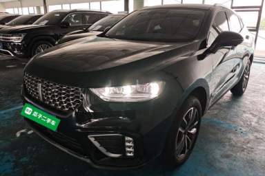 Used Wey VV5 2021 1.5T Two-Wheel Drive Smart Pioneer