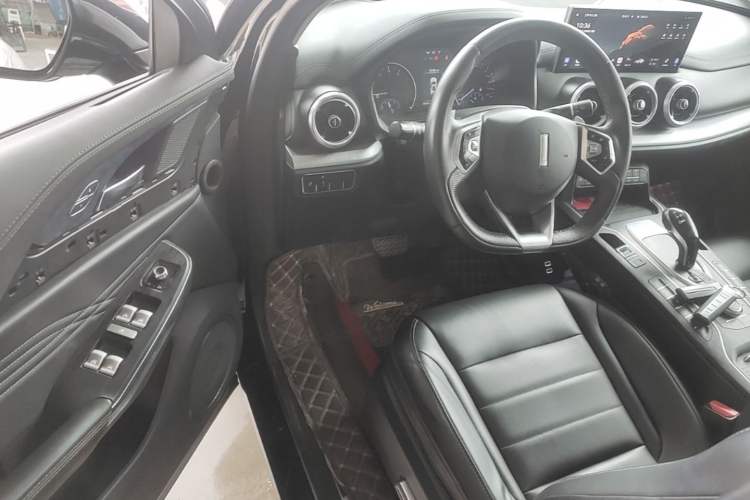 Used Wey VV5 2021 1.5T Two-Wheel Drive Color Pioneer Driver Seat