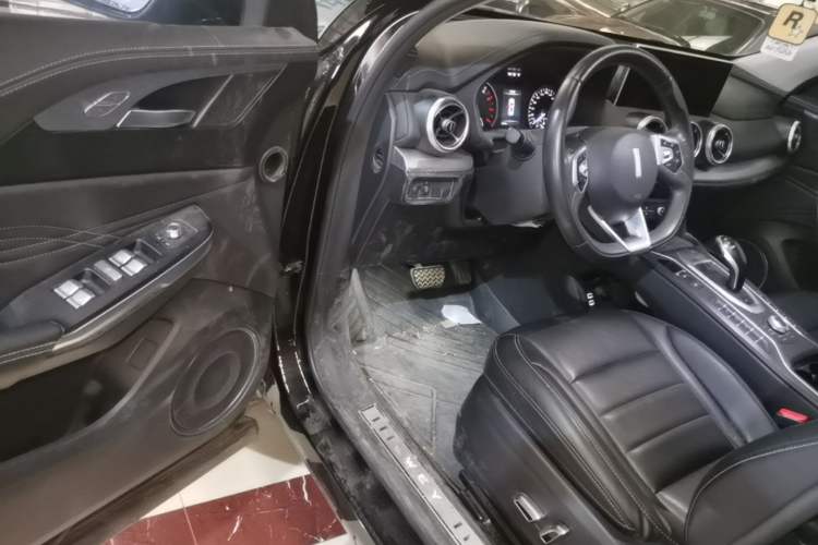 Used Wey VV5 2021 1.5T Two-Wheel Drive Color Pioneer Driver Seat