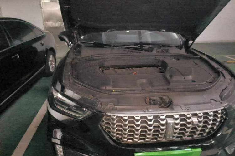 Used Wey VV5 2021 1.5T Two-Wheel Drive Color Pioneer Engine Bay Right