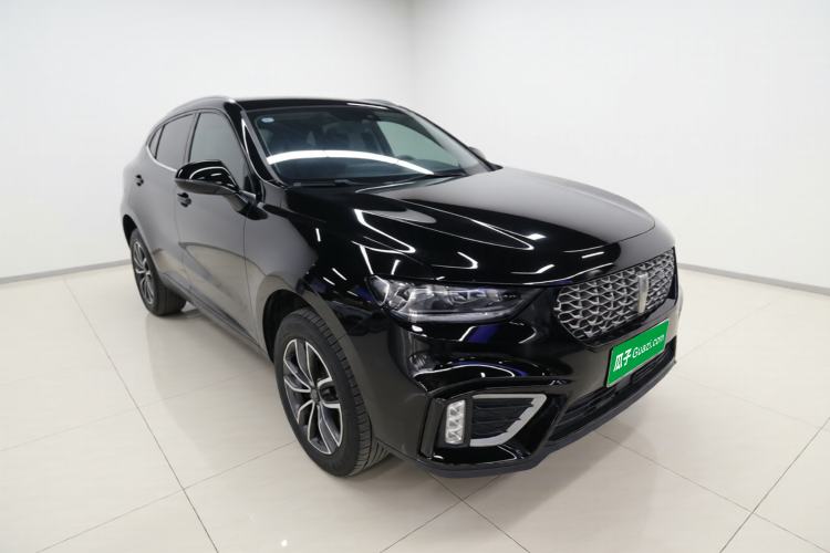 Used Wey VV5 2021 1.5T Two-Wheel Drive Smart Pioneer Exterior 1