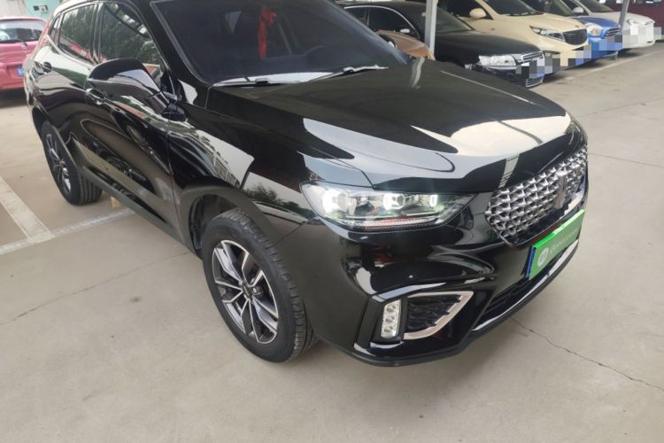 Used Wey VV5 2021 1.5T Two-Wheel Drive Color Pioneer Exterior 2