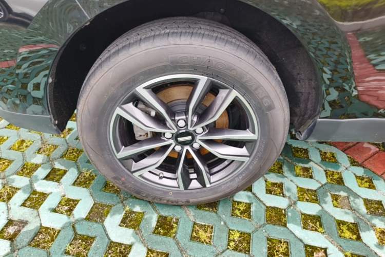 Used Wey VV5 2021 1.5T Two-Wheel Drive Color Pioneer Exterior 5