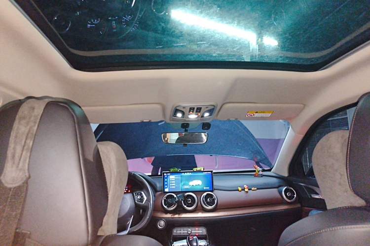 Used Wey VV5 2021 1.5T Two-Wheel Drive Color Pioneer Headliner