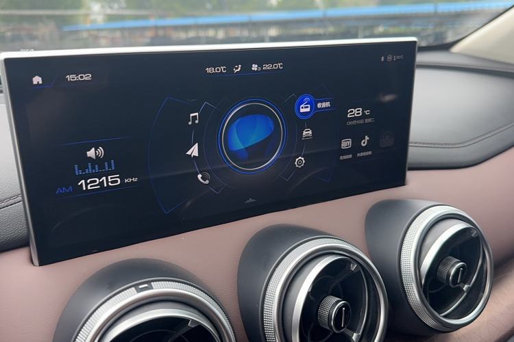 Used Wey VV5 2021 1.5T Two-Wheel Drive Color Pioneer Interior 6