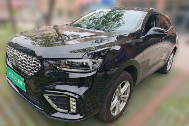 Used Wey VV5 2021 1.5T Two-Wheel Drive Color Pioneer