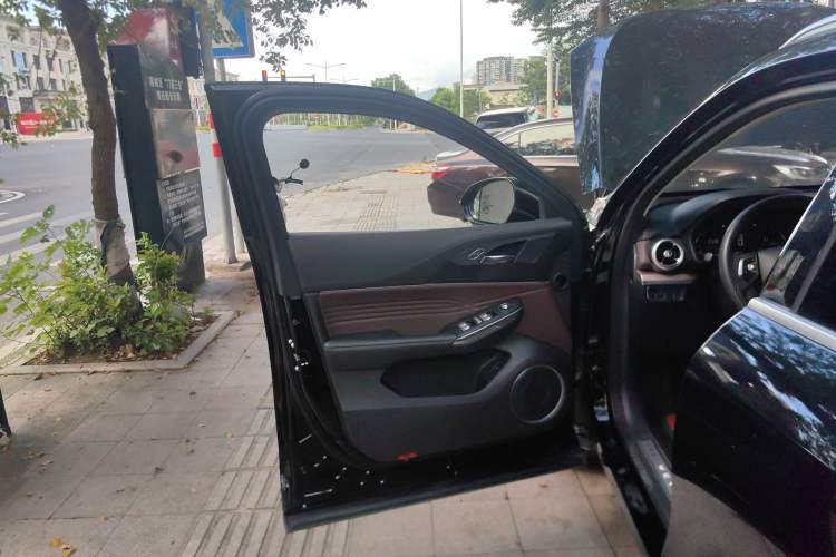 Used Wey VV5 2021 1.5T Two-Wheel Drive Smart Pioneer Left Front Door Interior