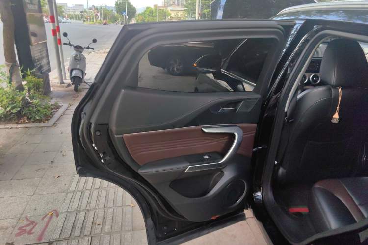 Used Wey VV5 2021 1.5T Two-Wheel Drive Smart Pioneer Left Rear Door Interior
