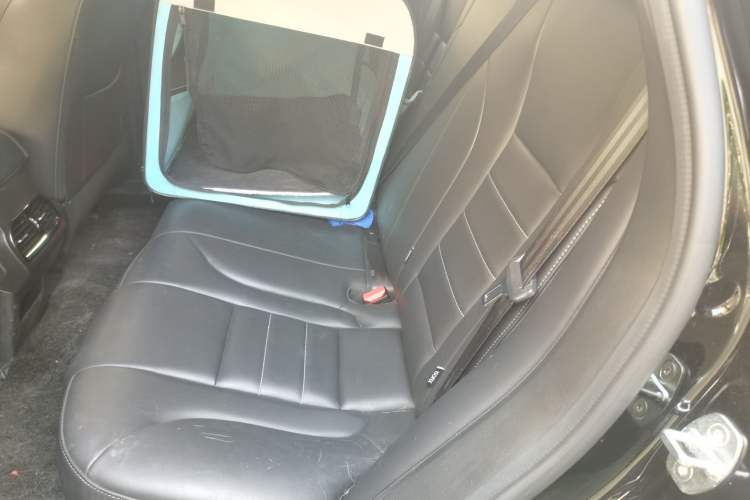 Used Wey VV5 2021 1.5T Two-Wheel Drive Color Pioneer Left Rear Seat