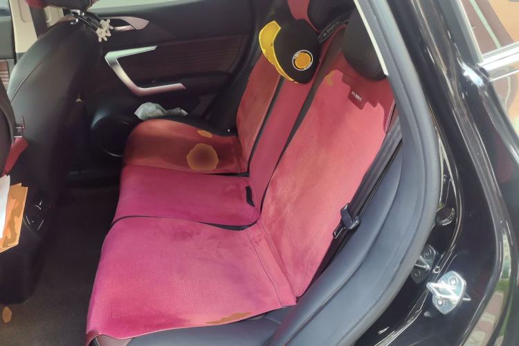 Used Wey VV5 2021 1.5T Two-Wheel Drive Smart Pioneer Left Rear Seat