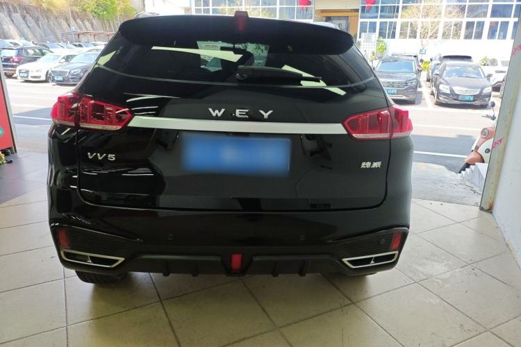 Used Wey VV5 2021 1.5T Two-Wheel Drive Color Pioneer Rear
