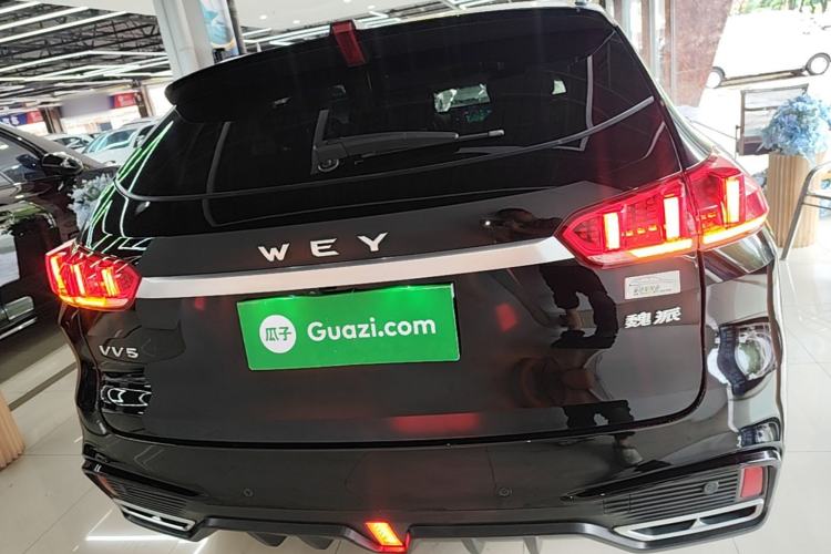 Used Wey VV5 2021 1.5T Two-Wheel Drive Color Pioneer Rear
