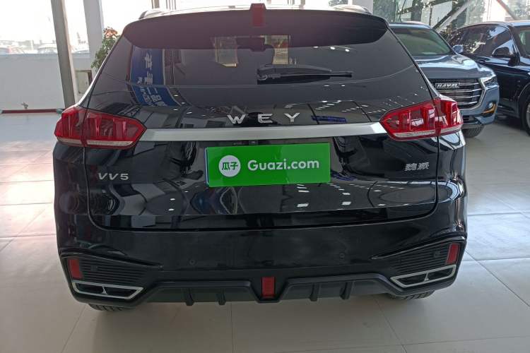 Used Wey VV5 2021 1.5T Two-Wheel Drive Color Pioneer Rear