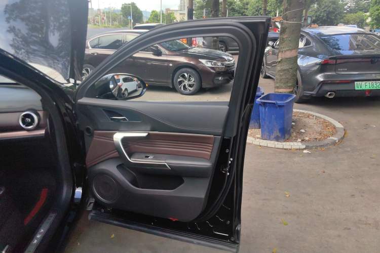 Used Wey VV5 2021 1.5T Two-Wheel Drive Smart Pioneer Right Front Door Interior