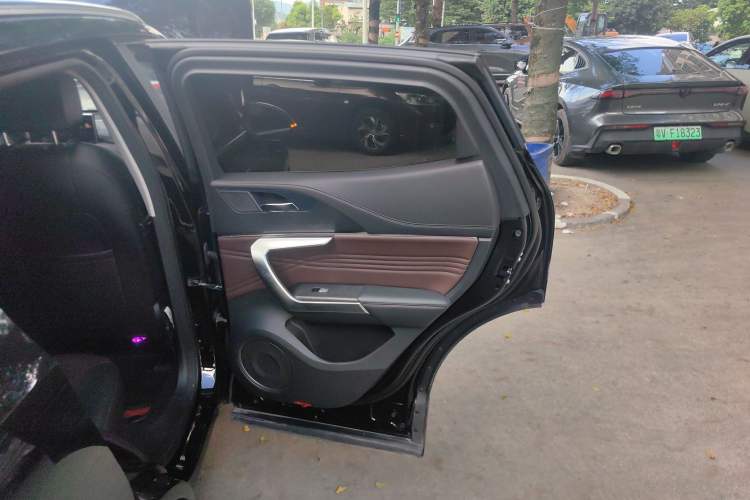 Used Wey VV5 2021 1.5T Two-Wheel Drive Smart Pioneer Right Rear Door Interior