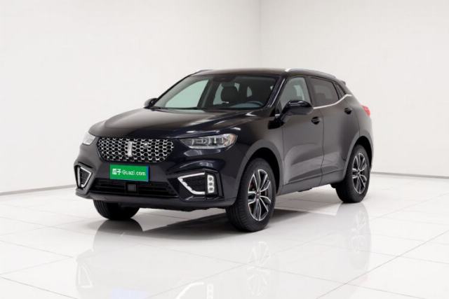 Used Wey VV5 2021 1.5T Two-Wheel Drive Smart Pioneer